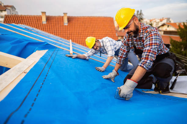 Best Shingle Roofing Installation  in Bergenfield, NJ